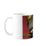 Green Cheek Conure mugs
