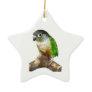 Green Cheek Conure Ornaments