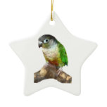 Green Cheek Conure ornaments