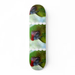Green Cheek Conure Skateboard