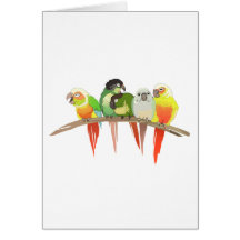 Green Cheek Conures Card