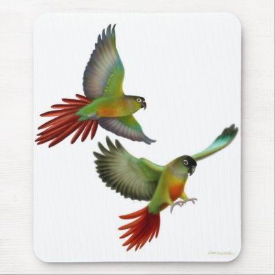 Green Cheek Conures Mousepad by twopurringcats
