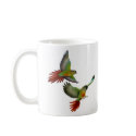 Green Cheek Conures Mug