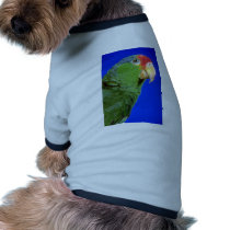 Green Cheeked Amazon Parrot Pet Clothes