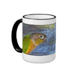 Green Cheeked Conure - Beautiful Coffee Mug
