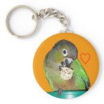 Green-cheeked conure keychain