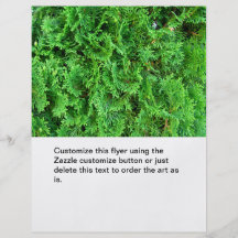 Green colourful evergreen shrub hedge art photo flyers