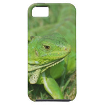 Green Creeping Lizard iPhone 5 Case