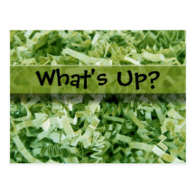 Green Crinkled Shreds Post Cards