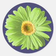Green Daisy Flower Stickers