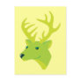 Green Deer Postcards