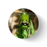 "Green Dragon" Eco Pin buttons