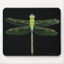 Green Dragonfly