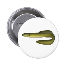 Green Eel Button