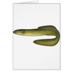 Green Eel Cards