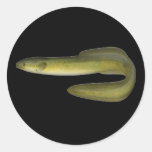 Green Eel Round Sticker