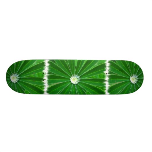 Green Energy Skateboard