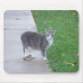 Green Eyed Cat, Mousepad