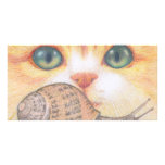 Green eyed ginger cat and snail card photo cards