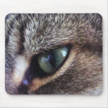 Green-Eyed Grey Tabby Cat Eye Close-Up mousepads