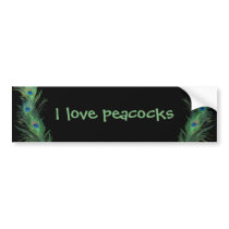 Green Feathers with Black Bumper Stickers