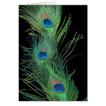 Green Feathers with Black Greeting Cards
