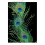 Green Feathers with Black Greeting Cards
