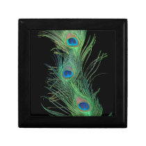 Green Feathers with Black Trinket Box