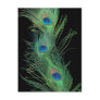 Green Feathers with Black Postcard