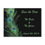 Green Feathers with Black Save the Date Postcard