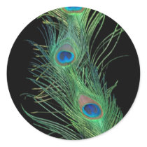 Green Feathers with Black Round Sticker