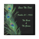Green Feathers with Black Wedding Magnets