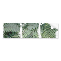Green Fern