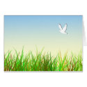 Green field with White dove cards
