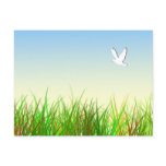 Green field with White dove Postcard