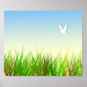 Green field with White dove posters