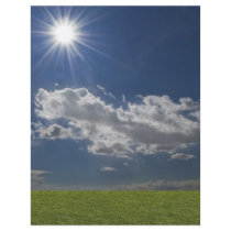 green filed, blue sky, white cloud