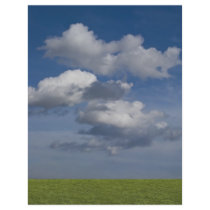 green filed, blue sky, white cloud