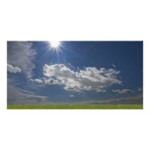 green filed, blue sky, white cloud