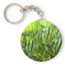 Green Fish Key Chain