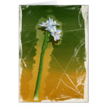 Green Flower cards