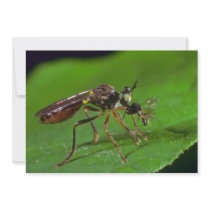 Green Flower Fly flowers Invitation