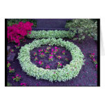 Green Flowrid Circle cards