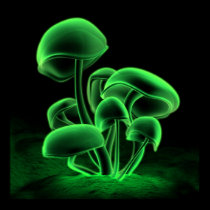 Green Fluorescence (Square) posters
