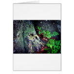 Green for hope cards