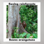 Green for Rainforests and Orangutans posters