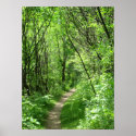 Green forest path posters