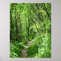 Green forest path print