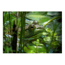 Green Frog ATC Photo Card Business Card