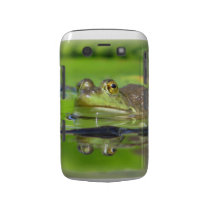 Green Frog  Blackberry Bold Case